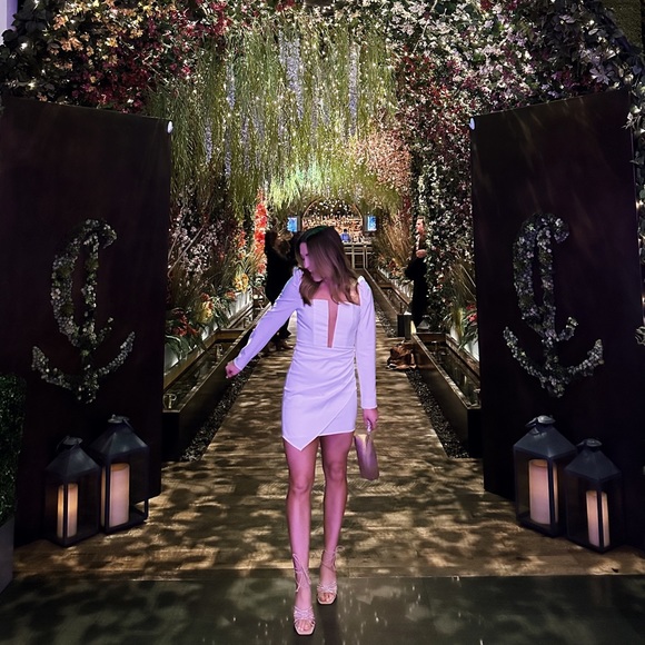 Revolve Raquel Mini Dress by Michael Costello - Picture 3 of 4